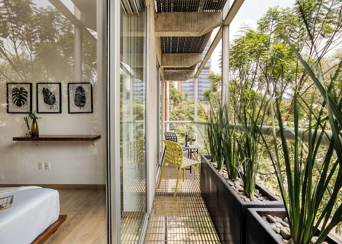 Uliv Polanco Mexico